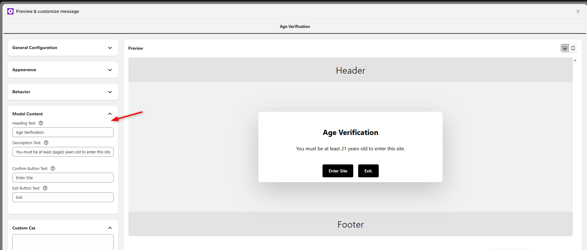 Figure 5 — Model Content section: Heading Text, Description Text (with {age} placeholder), Confirm Button Text, and Exit Button Text. Custom CSS section is also visible for advanced users.